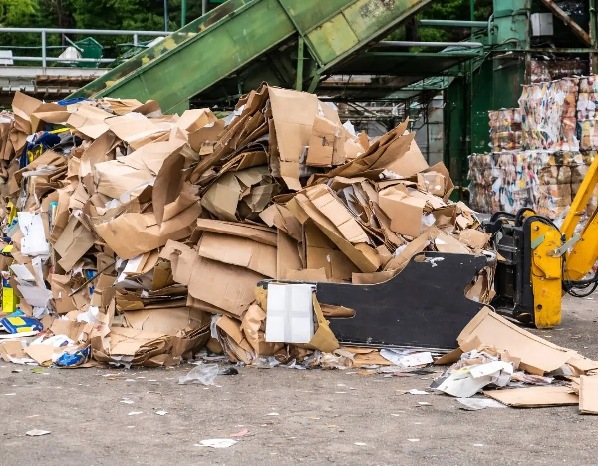 Cardboard and paper waste being processed at a commercial recycling facility with machinery and baled materials